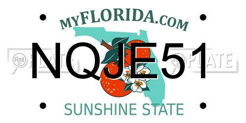 NQJE51 Florida License Plate