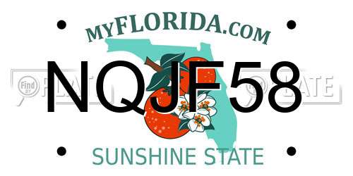 NQJF58 Florida License Plate