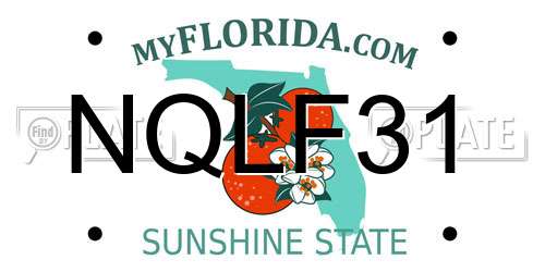 NQLF31 Florida License Plate