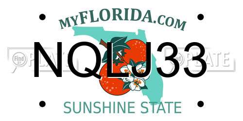 NQLJ33 Florida License Plate