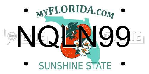 NQLN99 Florida License Plate