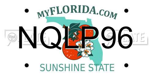 NQLP96 Florida License Plate