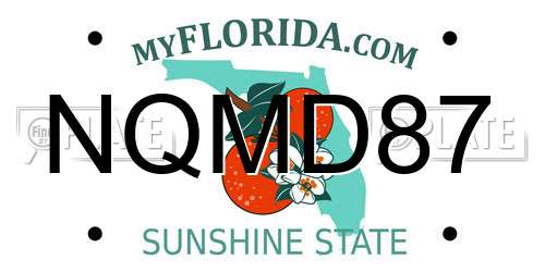 NQMD87 Florida License Plate