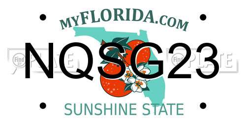 NQSG23 Florida License Plate