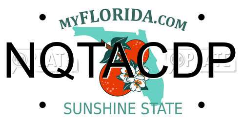 NQTACDP Florida License Plate