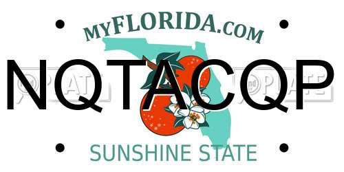 NQTACQP Florida License Plate