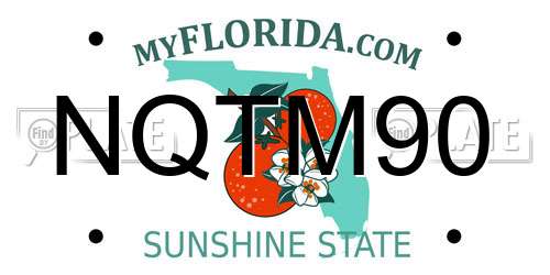 NQTM90 Florida License Plate
