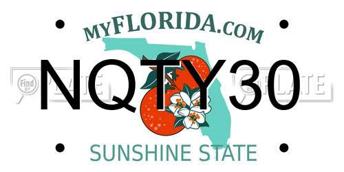 NQTY30 Florida License Plate