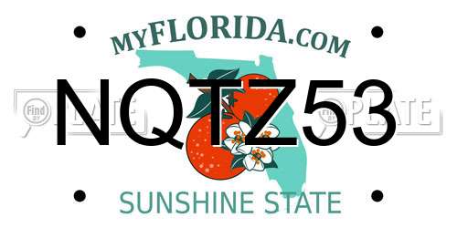 NQTZ53 Florida License Plate