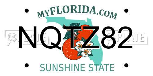 NQTZ82 Florida License Plate