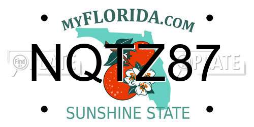 NQTZ87 Florida License Plate