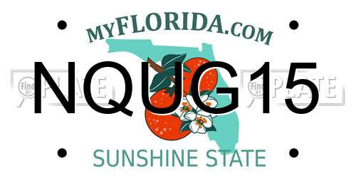 NQUG15 Florida License Plate