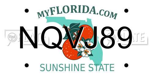 NQVJ89 Florida License Plate