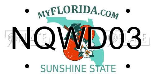 NQWD03 Florida License Plate