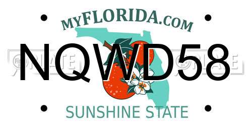 NQWD58 Florida License Plate