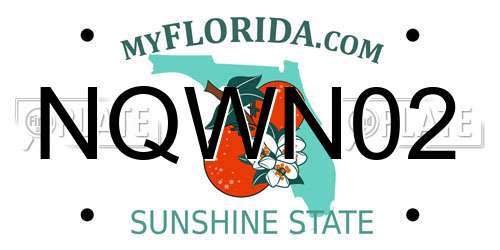 NQWN02 Florida License Plate