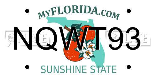 NQWT93 Florida License Plate