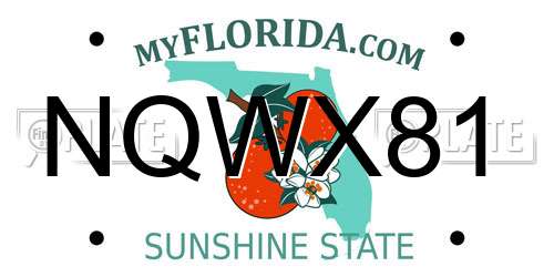 NQWX81 Florida License Plate