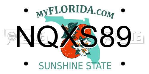 NQXS89 Florida License Plate