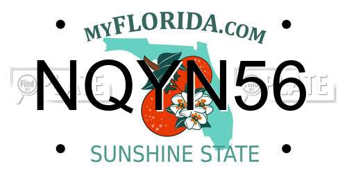 NQYN56 Florida License Plate
