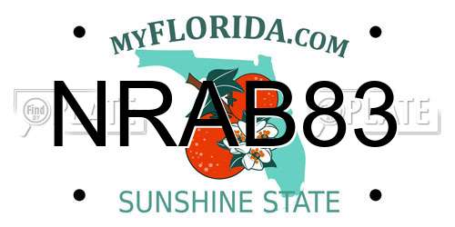 NRAB83 Florida License Plate