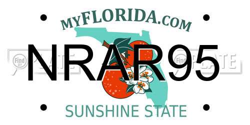 NRAR95 Florida License Plate