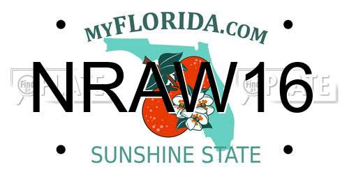 NRAW16 Florida License Plate
