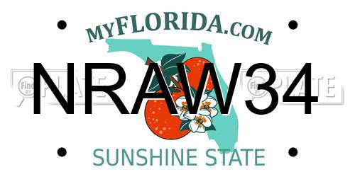 NRAW34 Florida License Plate