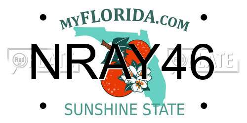 NRAY46 Florida License Plate