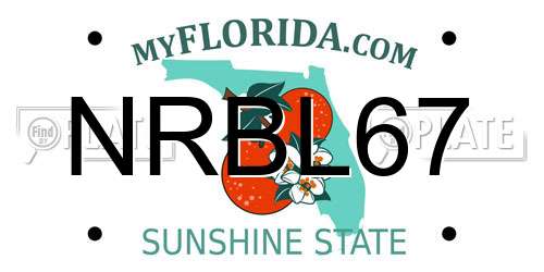 NRBL67 Florida License Plate