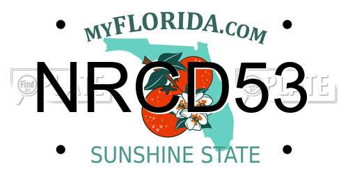 NRCD53 Florida License Plate