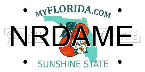 NRDAME Florida License Plate
