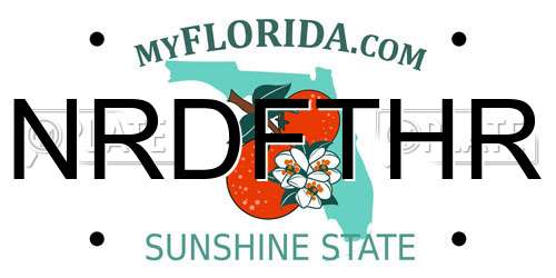 NRDFTHR Florida License Plate