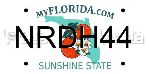 NRDH44 Florida License Plate