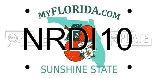 NRDI10 Florida License Plate