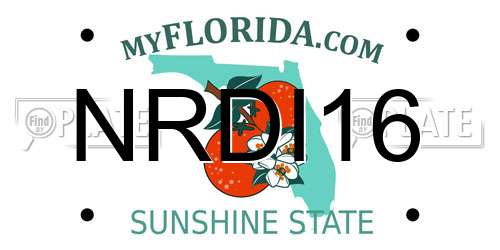 NRDI16 Florida License Plate