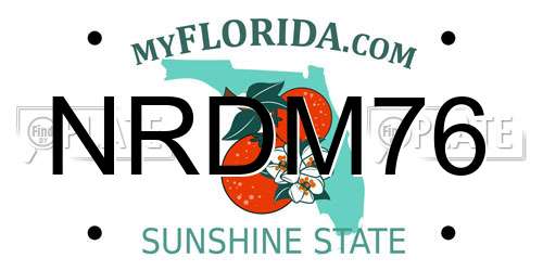 NRDM76 Florida License Plate