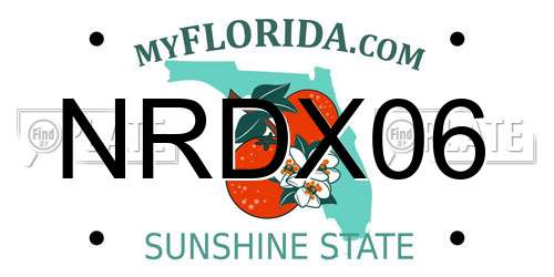 NRDX06 Florida License Plate