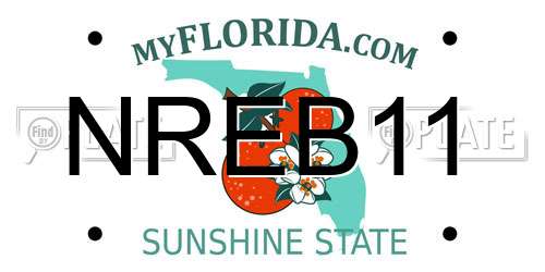 NREB11 Florida License Plate