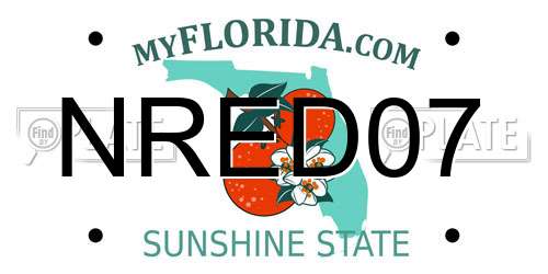 NRED07 Florida License Plate