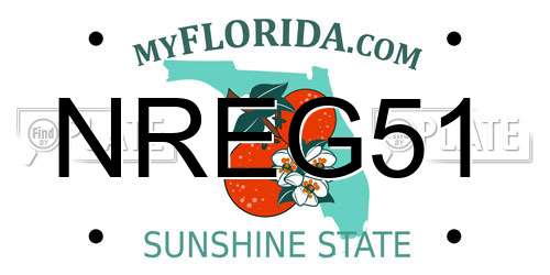 NREG51 Florida License Plate