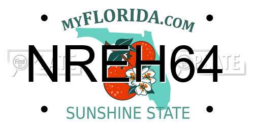 NREH64 Florida License Plate