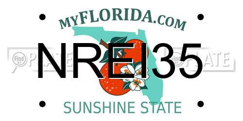NREI35 Florida License Plate