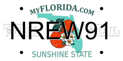 NREW91 Florida License Plate