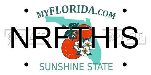 NRFTHIS Florida License Plate