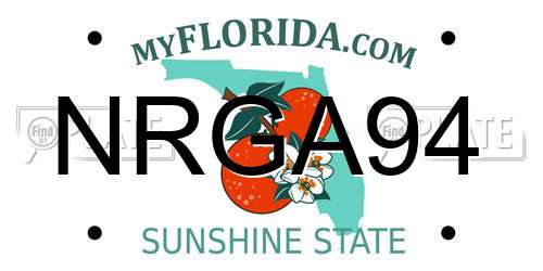 NRGA94 Florida License Plate