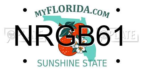 NRGB61 Florida License Plate