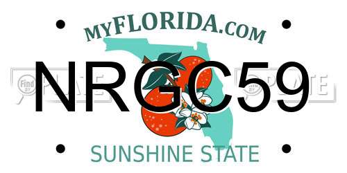 NRGC59 Florida License Plate