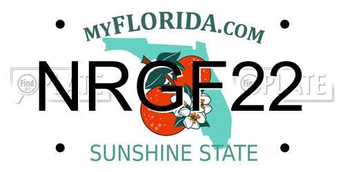 NRGF22 Florida License Plate