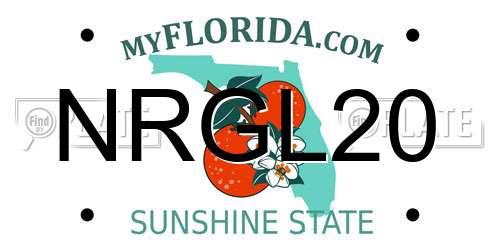 NRGL20 Florida License Plate